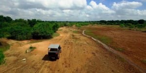 Yala National Park road