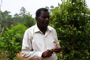 Farmer at Handunugoda Tea Estate