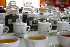 Freshly brewed Sri Lankan tea