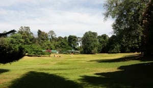 Kandy grounds  