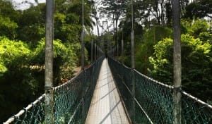 Suspension bridge at Kandy Sri Lanka   