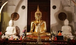 Golden Bhudda 