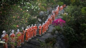 Monks lined up at Dambulla Cave Temple