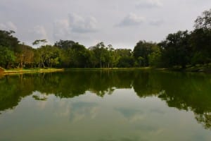 Pond at Polonnaruwa  