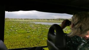 View of Yala National Park
