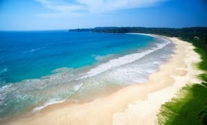 Aerial view of Talalla Beach    