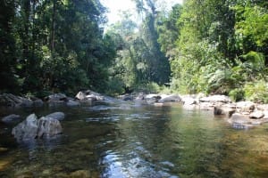 River in Sinharaja Rain Forest 