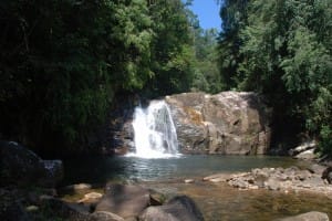 Waterfall at Sinharaja Rain Forest 