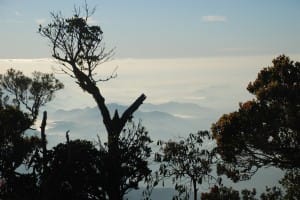View from top of World's End & Horton Plains National Park  