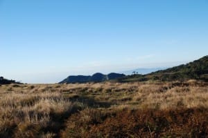 Plains of World's End & Horton Plains National Park  