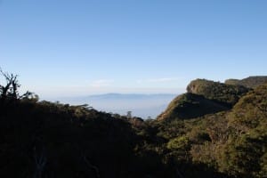 Scenery at World's End & Horton Plains National Park  