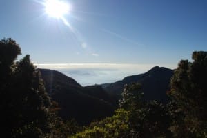 Sunny day at World's End & Horton Plains National Park  