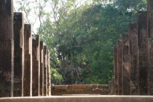 Columns at Polonnaruwa  