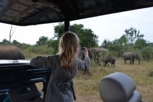 Safari day trip to Udawalawe National Park