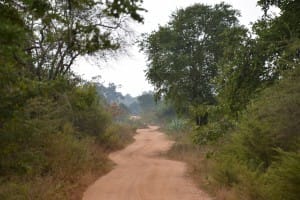 Roadway in Udawalawe National Park