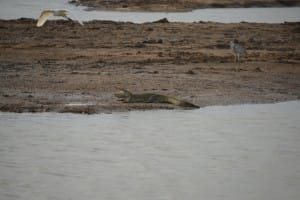 Plains of Udawalawe National Park