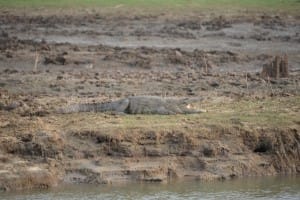 View of Udawalawe National Park