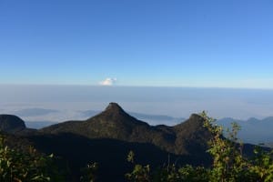 Top view from Adams Peak      