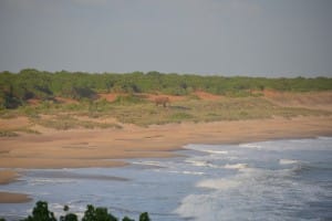 Beach at Bundala National Park