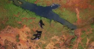 Aerial view of Yala National Park